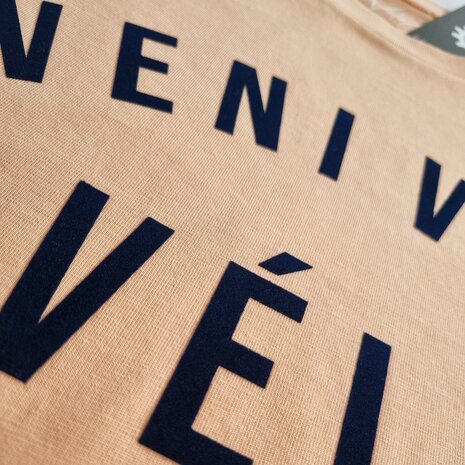 VENI VIDI VELO T SHIRT